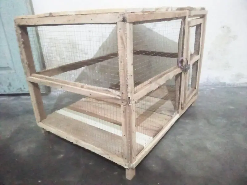 hen's cage — photo 5