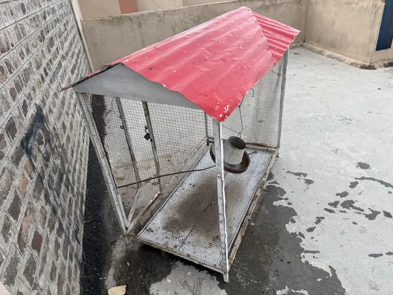 Sale of birds / hen Cage — photo 2