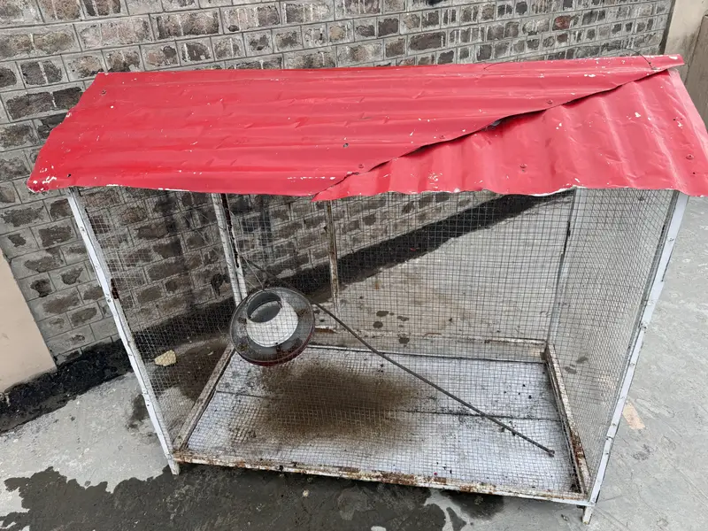 Sale of birds / hen Cage — photo 3
