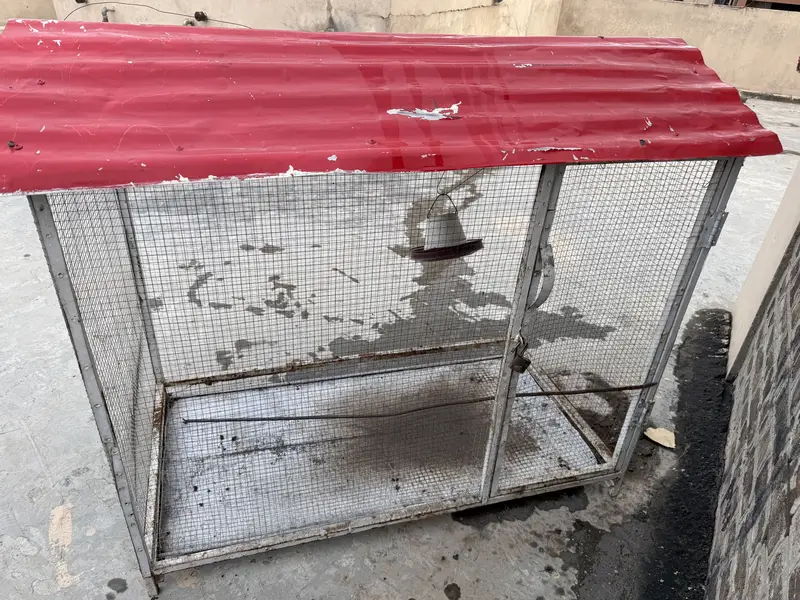 Sale of birds / hen Cage — photo 4