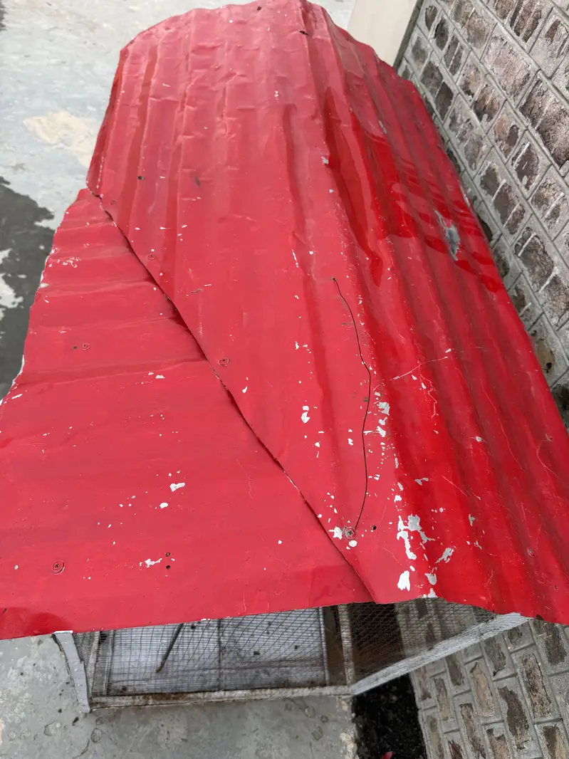 Sale of birds / hen Cage — photo 5