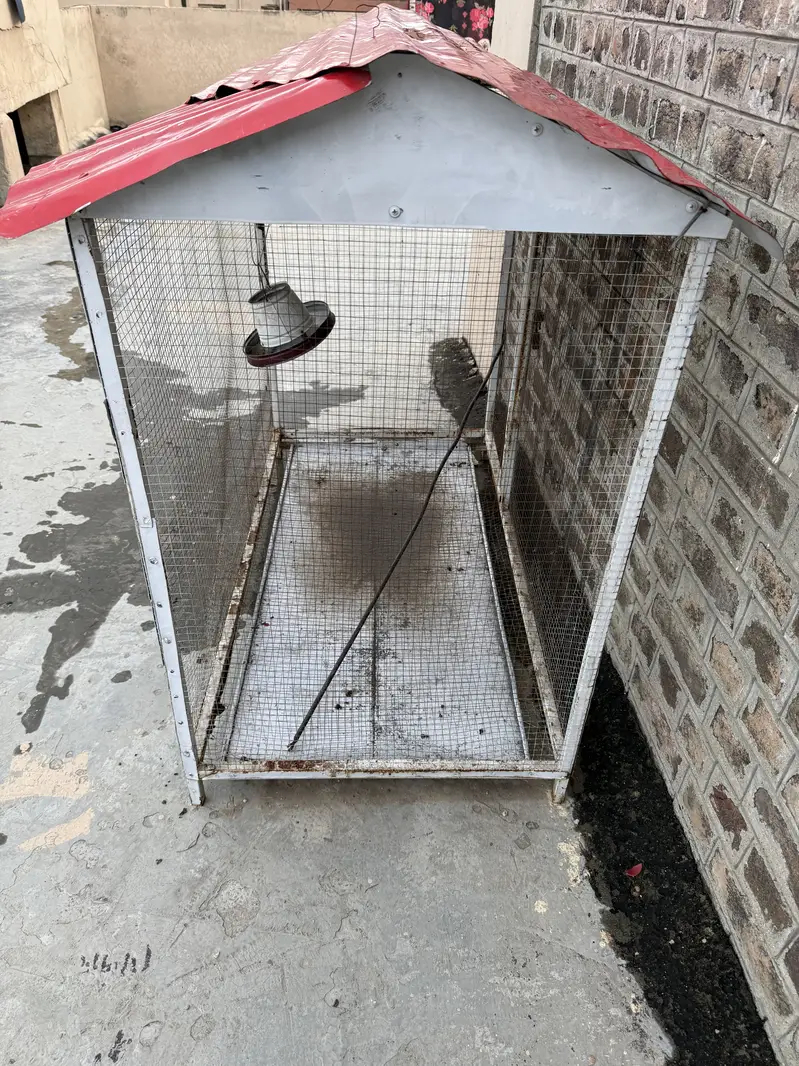Sale of birds / hen Cage — photo 6