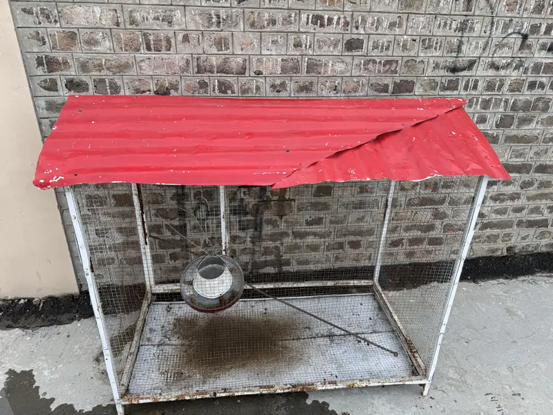 Sale of birds / hen Cage — photo 7