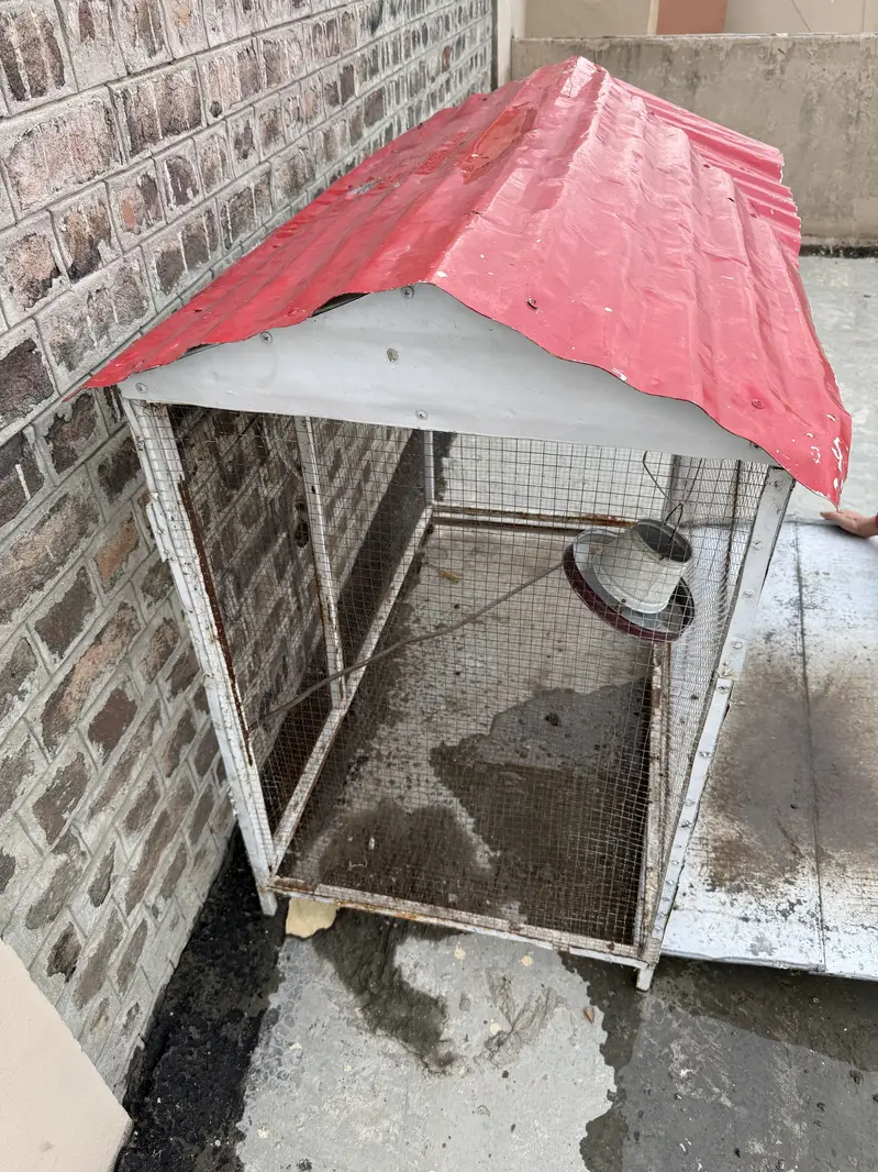 Sale of birds / hen Cage — photo 8