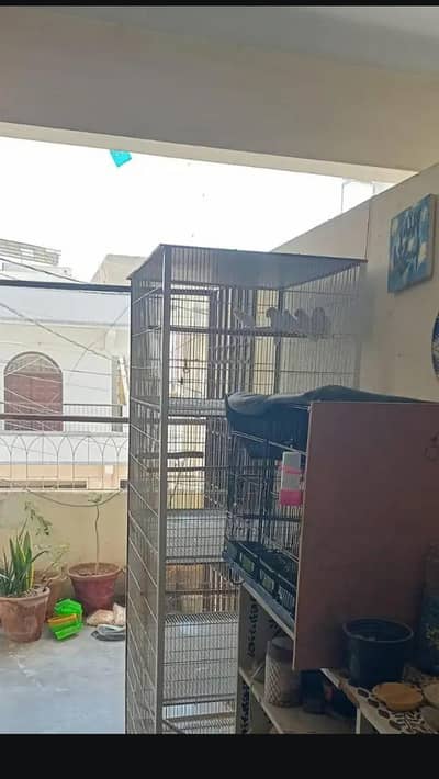 4 portion cage for urgent sell