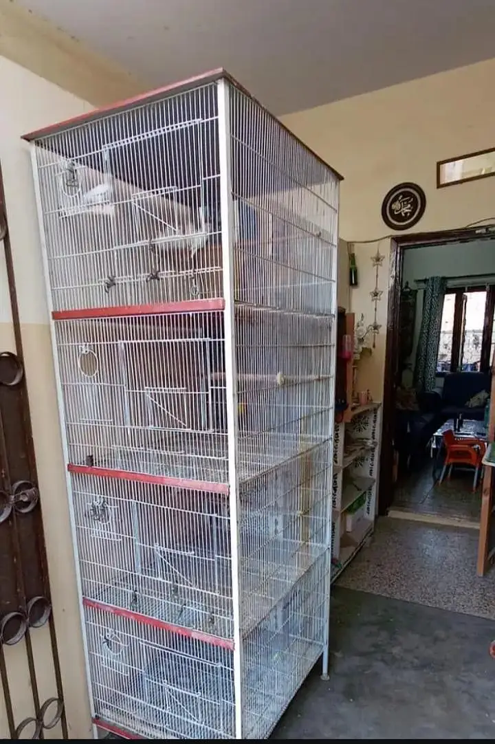 4 portion cage for urgent sell — photo 2