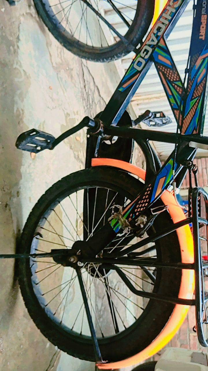 bicycle 2