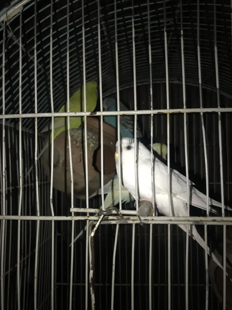 2 male 2 female — photo 2