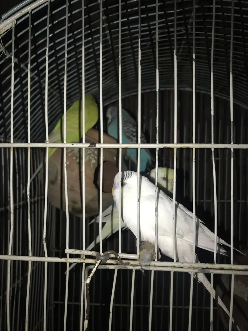 2 male 2 female — photo 3