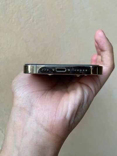 Apple iPhone 13 Pro