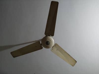 ceiling fan high quality