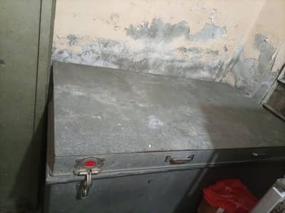 Trunk Peti