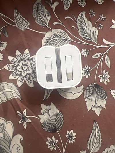 Original Iphone Adpater