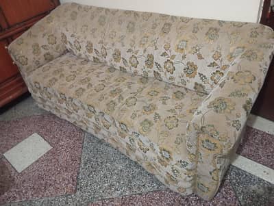Sofa in skin