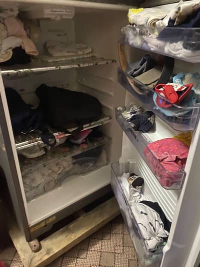frige
