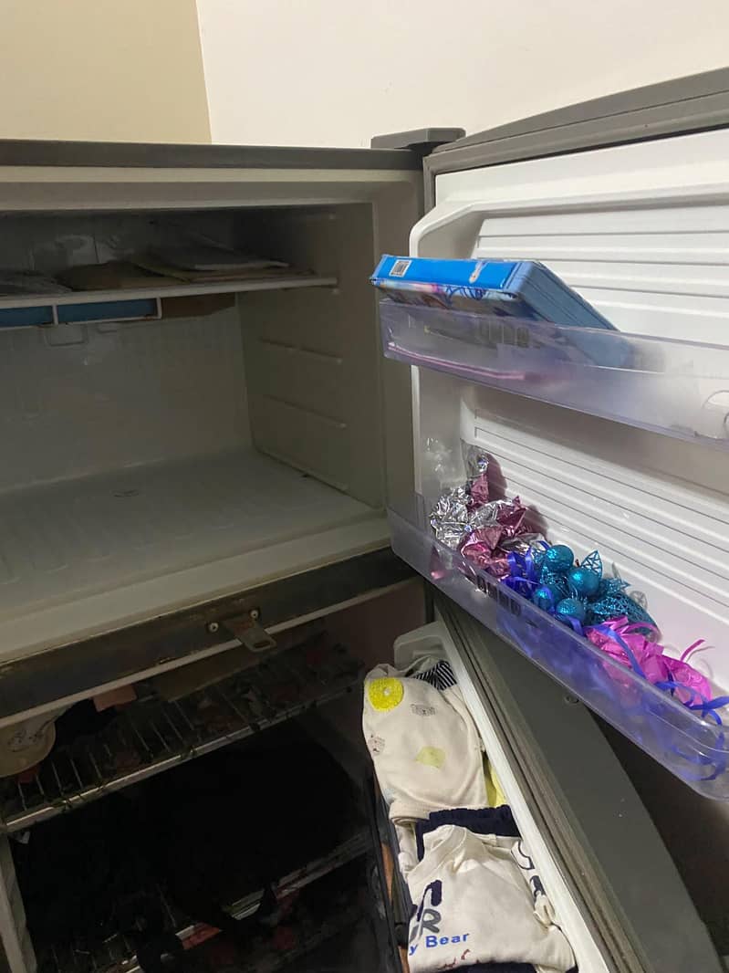 frige 1
