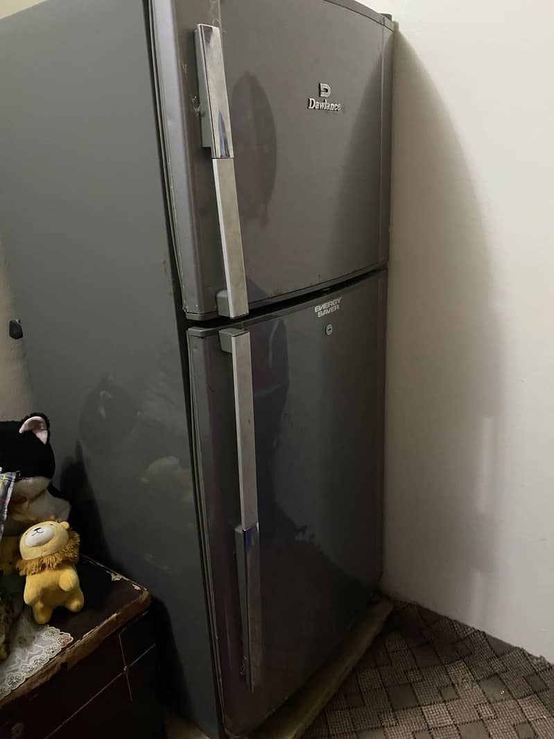 frige 2
