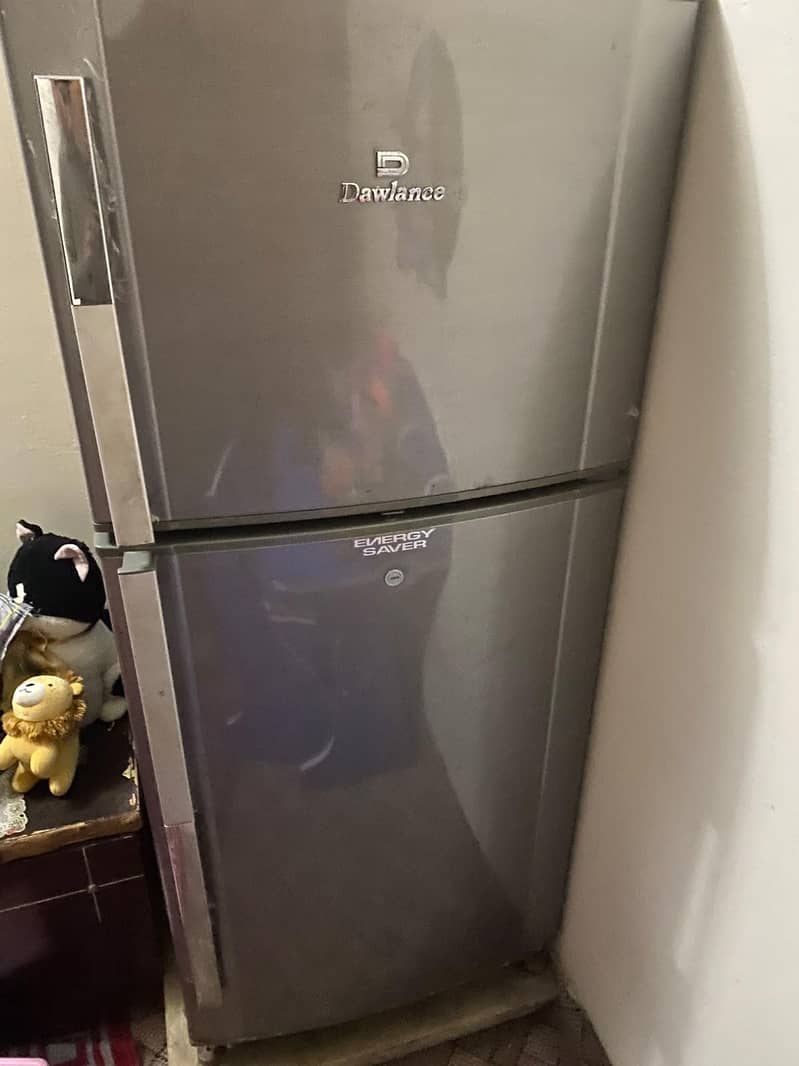 frige 5