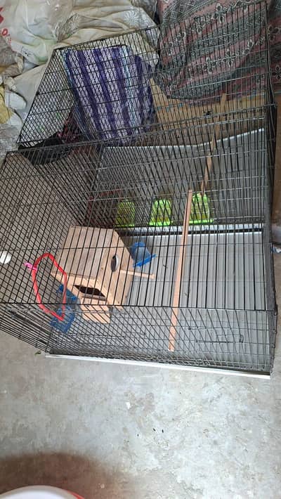 cage pinjaray