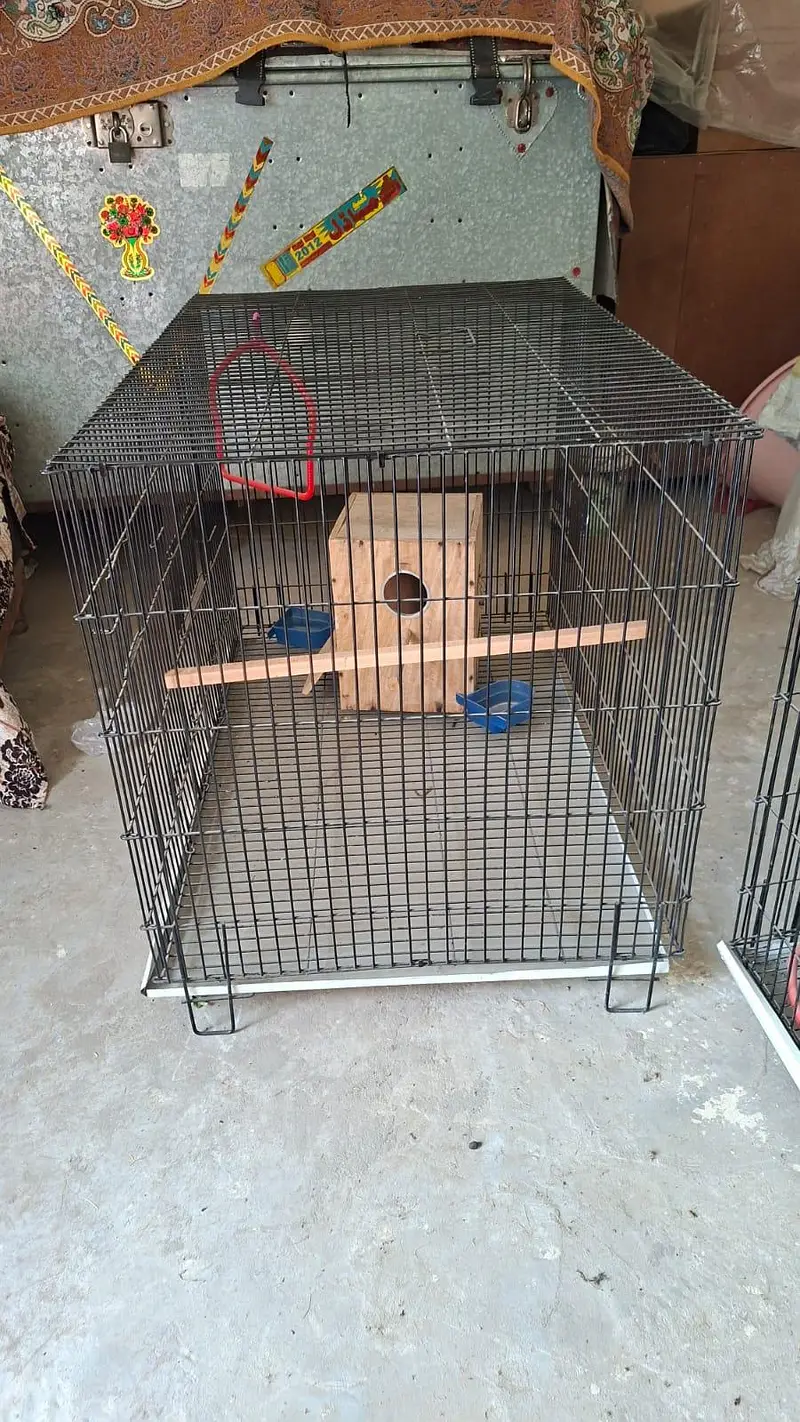 cage pinjaray — photo 5