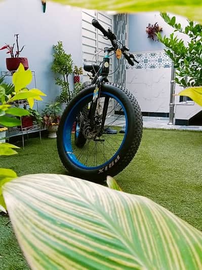 fat tyre new cycle 26 inch