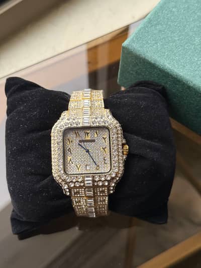 Premium Watch / water proof