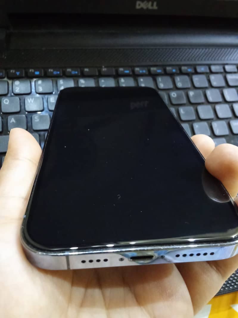 Apple iPhone 13 Pro Max 3