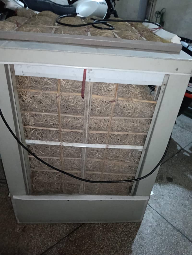 without stand and medium size 1