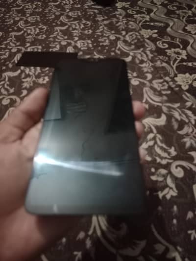 one plus 6 oregnal panal