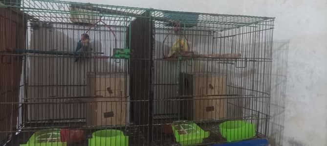 Big size Cage for sale in good condition