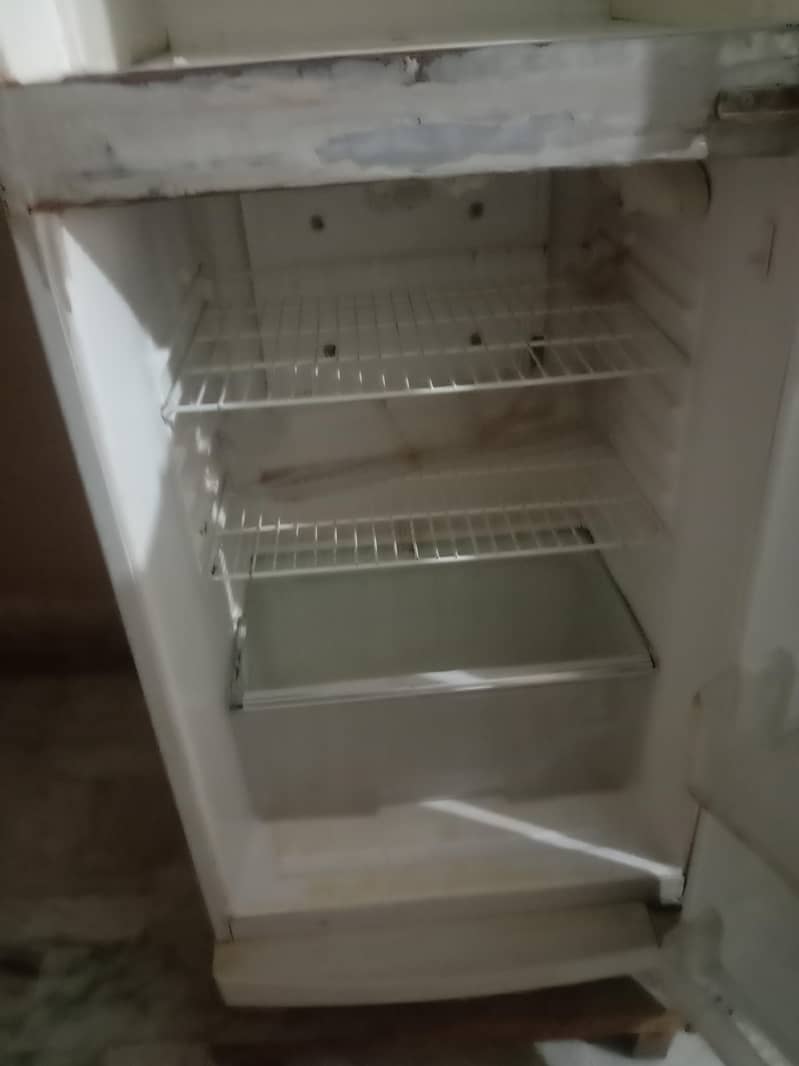 Waves Fridge Old Model (Medium) 2