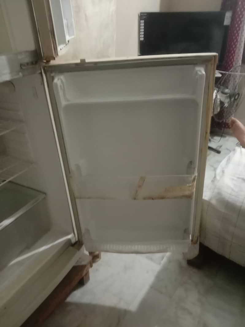 Waves Fridge Old Model (Medium) 3