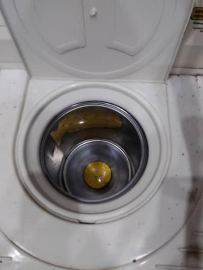 spinner for sale
