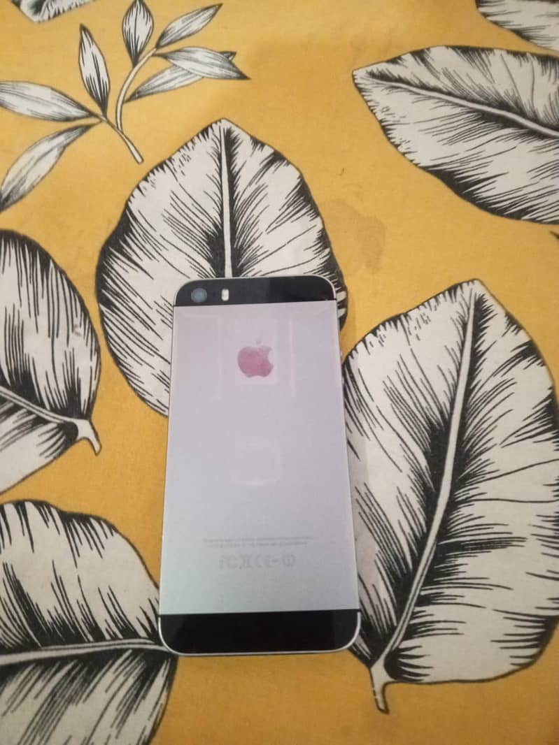 Apple iPhone 5s 6