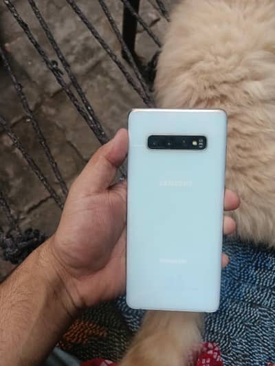 galaxy S10+ ( Sale & Exchange )