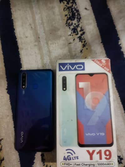 Vivo y19