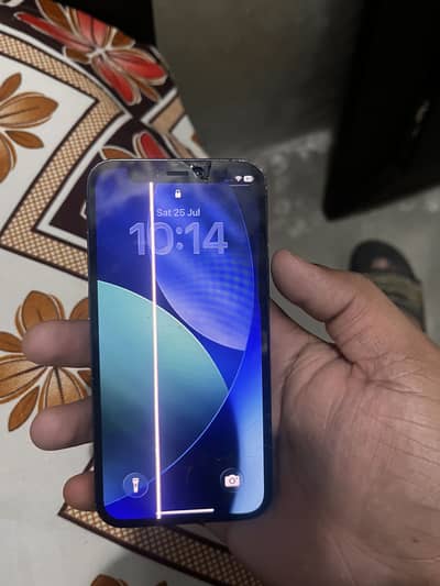 iphone 12 mini non pta ha panel ma line