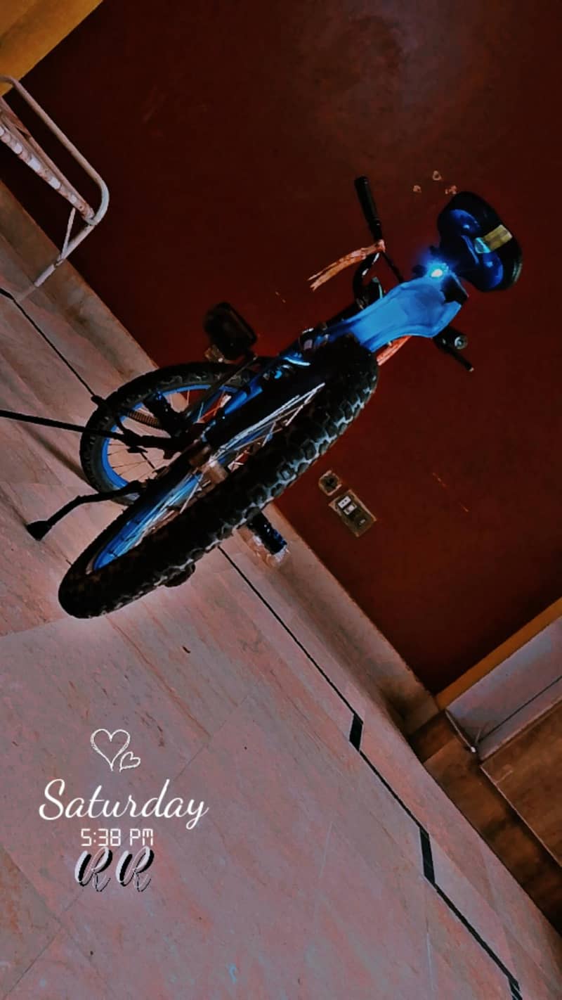 bicycle 1