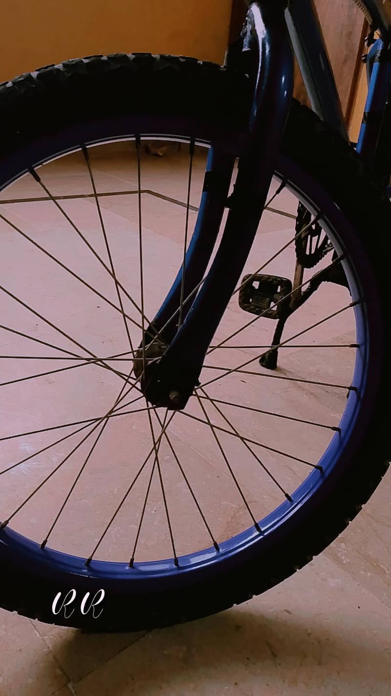 bicycle 4