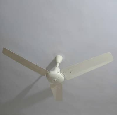 Pak fan (Deluxe ) 56"