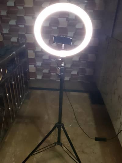 TIKTOK Stand RGB light