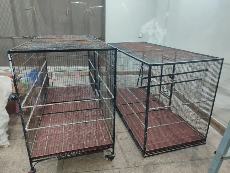 Birds cage , flying cage — photo 3