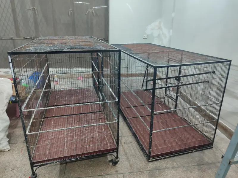 Birds cage , flying cage — photo 5