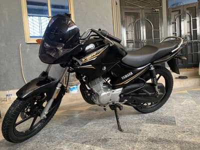 YAMAHA YBR (ESD)