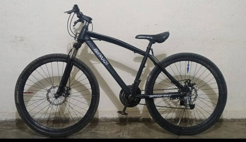 bicycle 0
