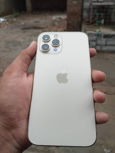 iPhone 12 Pro Max | PTA | 256 GB | Waterpack