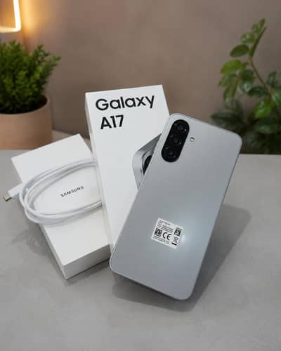 Samsung Mobile A17 8/256 Pta Approved