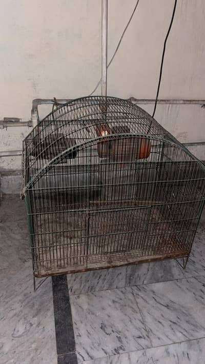 Cage for birds
