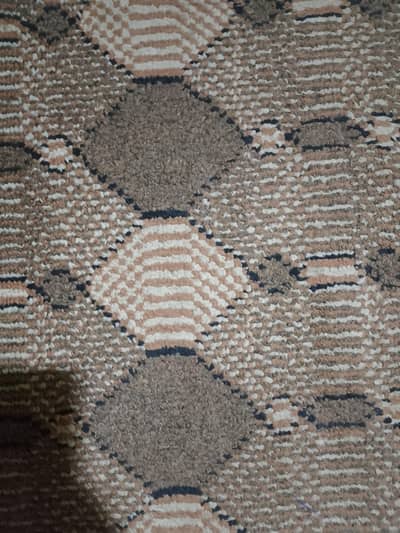 carpet new brand clean