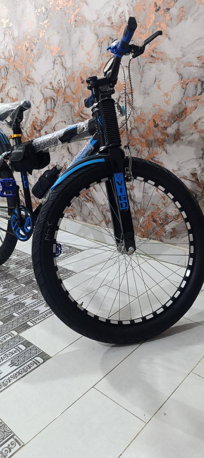 Vigo Cycle 1